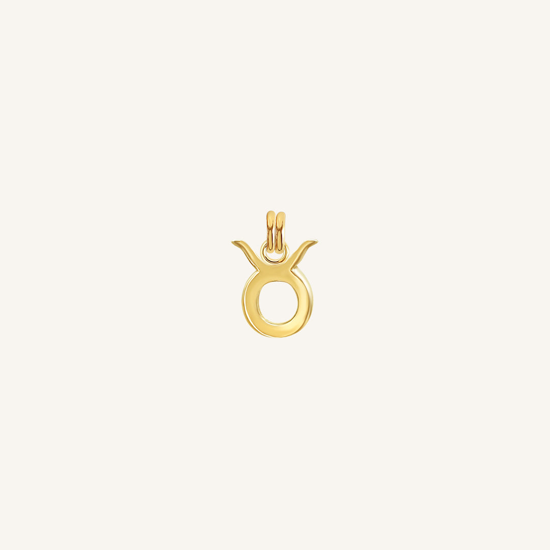 Petite Zodiac Charm Taurus