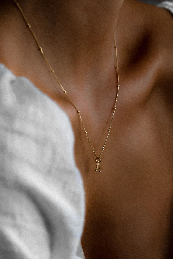 Petite Zodiac Necklace